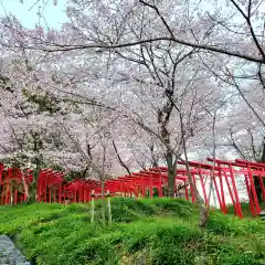 岩水寺の自然