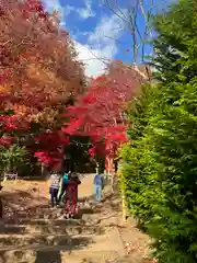 新倉富士浅間神社の自然