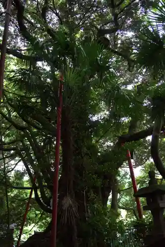 阿蘇神社(東京都)