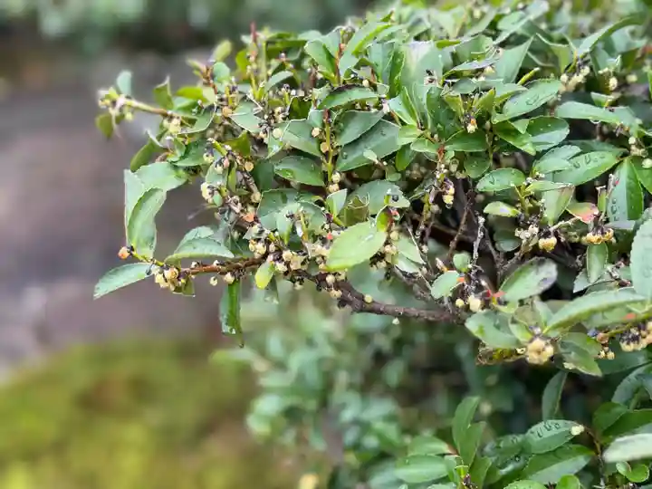 西方山極楽寺(岐阜県)