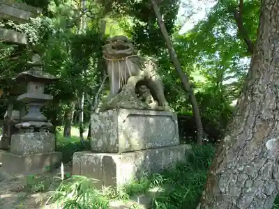 竹内神社の狛犬