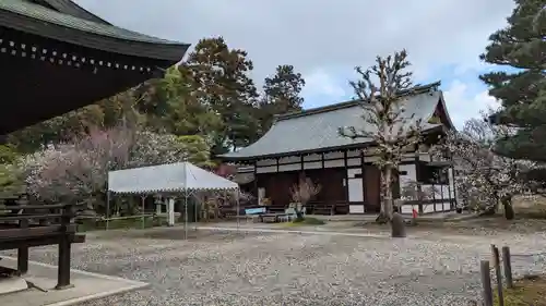 梅宮大社(京都府)