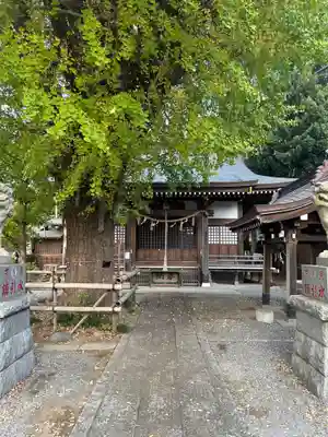 印内八坂神社(千葉県)
