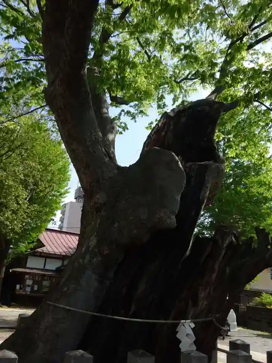 阿邪訶根神社(福島県)