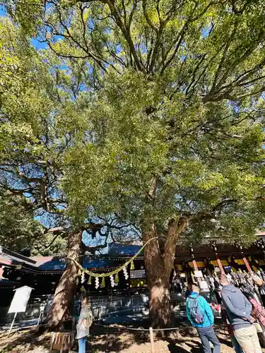 明治神宮(東京都)