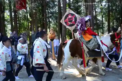 出雲伊波比神社(埼玉県)