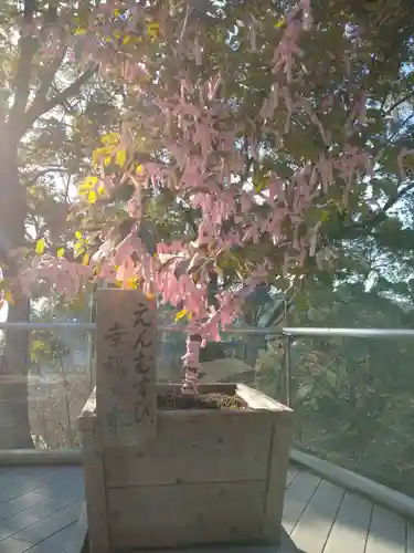 宝満宮竈門神社のその他建物