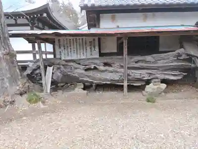 専修寺(栃木県)