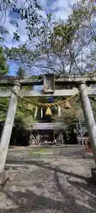天鷹神社の鳥居(2021年09月24日(金) 23時16分35秒投稿)