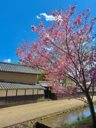 蚊里田八幡宮の{uncategorized: "未分類", other: "その他", undefined: "問題あり", building: "その他建物", grave: "お墓", sacred_gate: "鳥居", guardian: "狛犬", statue: "像", buddha: "仏像", history: "歴史", nature: "自然", garden: "庭園", animal: "動物", pagoda: "塔", temizu: "手水舎", mountain_gate: "山門・神門", sanctuary: "本殿・本堂", subordinate: "末社・摂社", art: "芸術", scenery: "景色", jizo: "地蔵", ema: "絵馬", goshuin: "御朱印", omikuji: "おみくじ", items: "授与品その他", amulet: "お守り", goshuincho: "御朱印帳", eats: "食事", festival: "お祭り", votive_dance: "神楽", shichigosan: "七五三参", wedding: "結婚式", experience: "体験その他", initially: "初詣", around: "周辺", anti_infection: "感染症対策"}