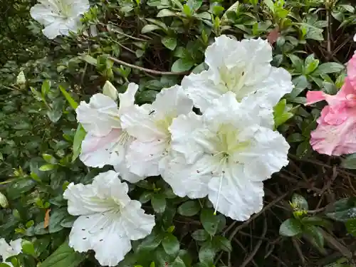 塩船観音寺(東京都)
