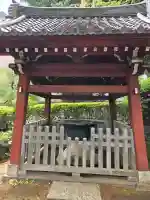 護国寺の{uncategorized: "未分類", other: "その他", undefined: "問題あり", building: "その他建物", grave: "お墓", sacred_gate: "鳥居", guardian: "狛犬", statue: "像", buddha: "仏像", history: "歴史", nature: "自然", garden: "庭園", animal: "動物", pagoda: "塔", temizu: "手水舎", mountain_gate: "山門・神門", sanctuary: "本殿・本堂", subordinate: "末社・摂社", art: "芸術", scenery: "景色", jizo: "地蔵", ema: "絵馬", goshuin: "御朱印", omikuji: "おみくじ", items: "授与品その他", amulet: "お守り", goshuincho: "御朱印帳", eats: "食事", festival: "お祭り", votive_dance: "神楽", shichigosan: "七五三参", wedding: "結婚式", experience: "体験その他", initially: "初詣", around: "周辺", anti_infection: "感染症対策"}