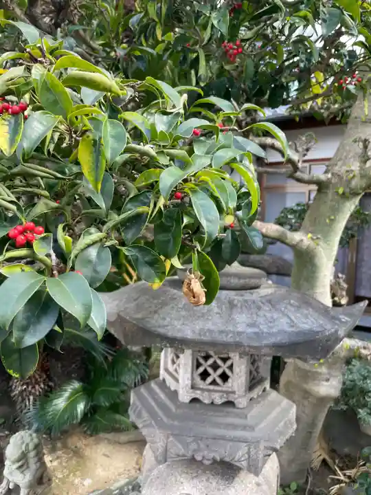 西琳寺(大阪府)