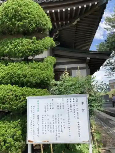 薬師院の歴史