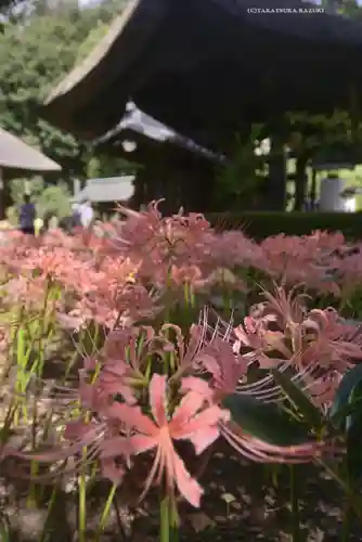 横浜　西方寺(神奈川県)