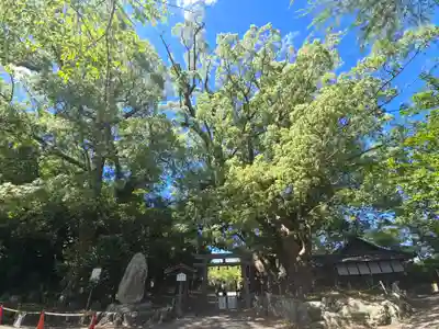 藤白神社(和歌山県)