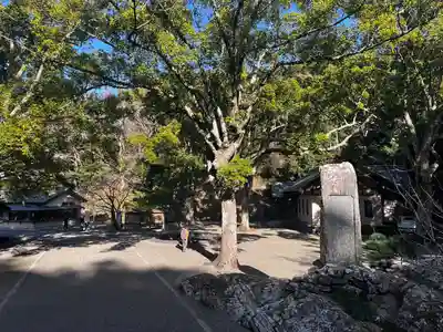 安房神社(千葉県)