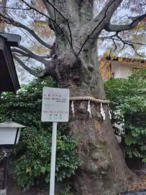 前川神社(埼玉県)