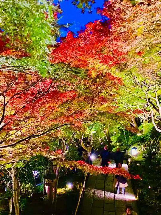 長谷寺(神奈川県)