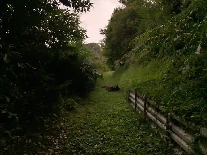 秋葉神社の周辺