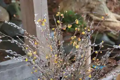 高司神社〜むすびの神の鎮まる社〜の手水舎