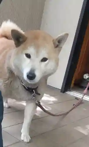 笠䅣稲荷神社(神奈川県)