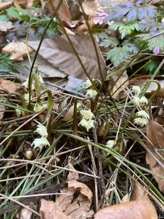 十二山神社(群馬県)