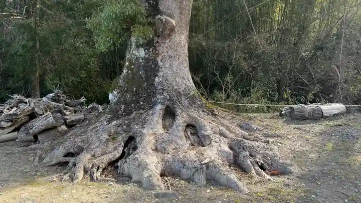 八大龍王社(徳島県)
