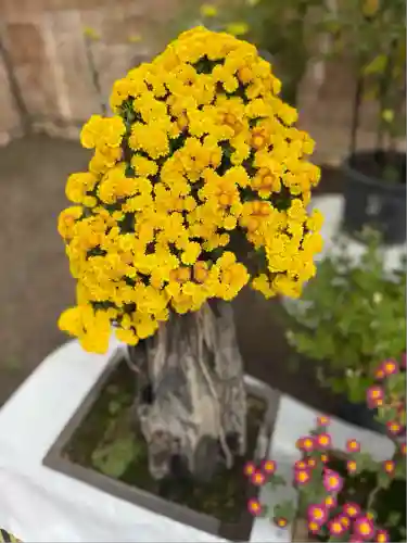 喜多院(埼玉県)