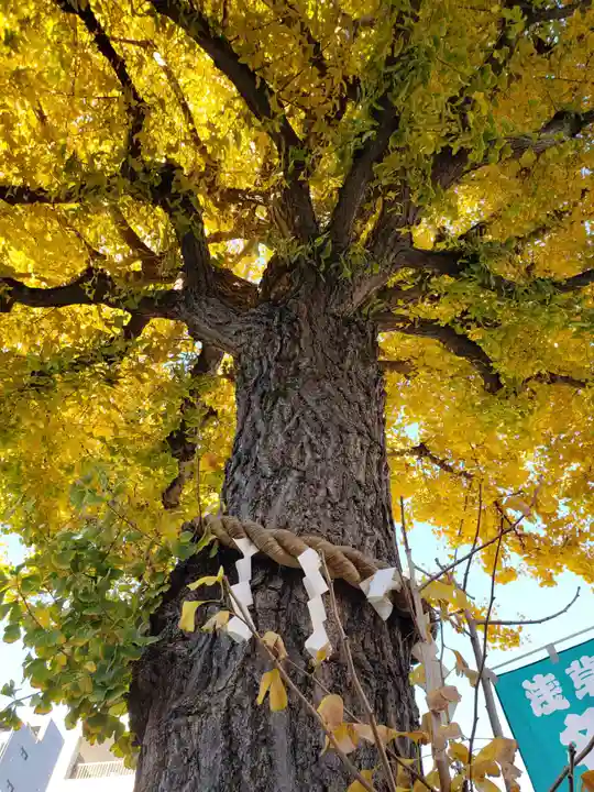 矢先稲荷神社(東京都)