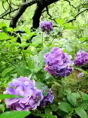 瑞泉寺(神奈川県)