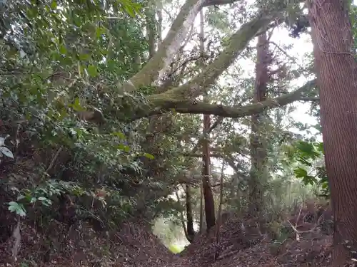 諏訪神社の周辺