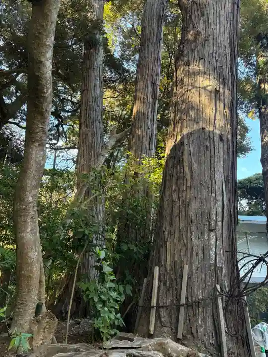 鹿島神宮(茨城県)