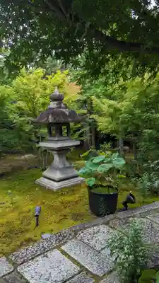 勝林寺(京都府)
