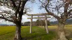 若宮神社(京都府)