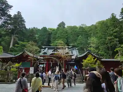 箱根神社(神奈川県)