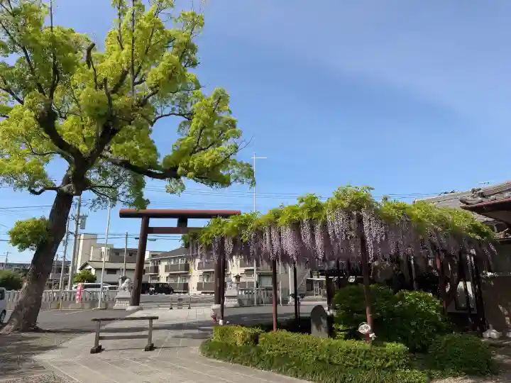 大宮神社の{uncategorized: "未分類", other: "その他", undefined: "問題あり", building: "その他建物", grave: "お墓", sacred_gate: "鳥居", guardian: "狛犬", statue: "像", buddha: "仏像", history: "歴史", nature: "自然", garden: "庭園", animal: "動物", pagoda: "塔", temizu: "手水舎", mountain_gate: "山門・神門", sanctuary: "本殿・本堂", subordinate: "末社・摂社", art: "芸術", scenery: "景色", jizo: "地蔵", ema: "絵馬", goshuin: "御朱印", omikuji: "おみくじ", items: "授与品その他", amulet: "お守り", goshuincho: "御朱印帳", eats: "食事", festival: "お祭り", votive_dance: "神楽", shichigosan: "七五三参", wedding: "結婚式", experience: "体験その他", initially: "初詣", around: "周辺", anti_infection: "感染症対策"}