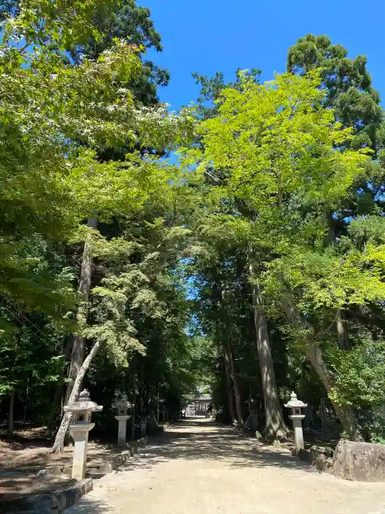 奥石神社(滋賀県)