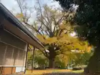 観音堂(千葉県)