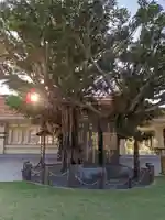 沖縄県護国神社(沖縄県)