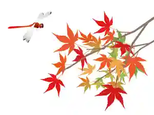 出雲大社倉敷教会(岡山県)(2025年09月23日(火) 12時32分03秒投稿)