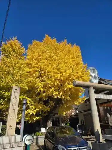 飛木稲荷神社(東京都)