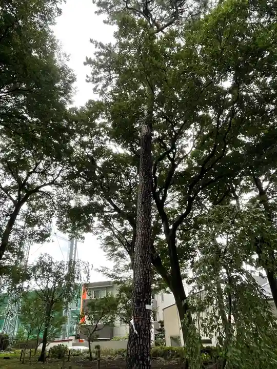 弦巻神社の自然