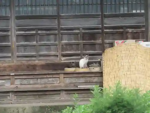 円通寺(埼玉県)