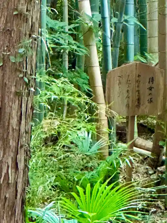 隨心院(随心院)(京都府)