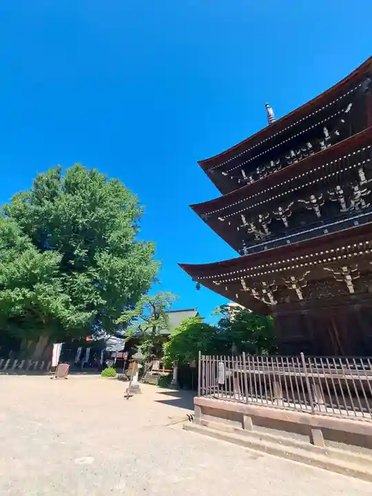 飛騨国分寺(岐阜県)
