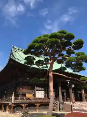 護国寺の本殿・本堂