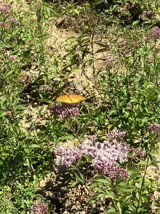 興禅寺(和歌山県)