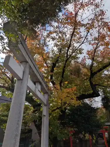 本郷氷川神社(東京都)