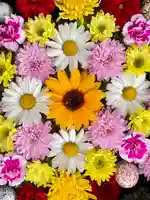 伊達神社(北海道)